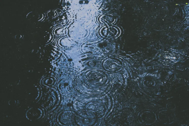 雨